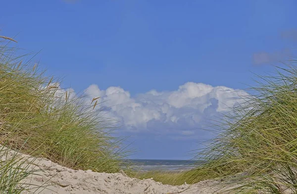 Wydmy Morza Północnego Amrum Schleswig Holstein Niemcy Europa — Zdjęcie stockowe