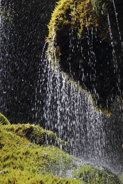 Chutes Schleierflle Gorge Ammerschlucht Haute Bavière Allemagne Europe — Photo