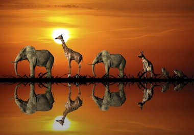 Animals one behind the other with reflection during sunset, illustration clipart