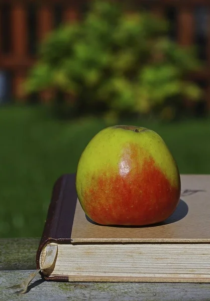 老书上的苹果 — 图库照片