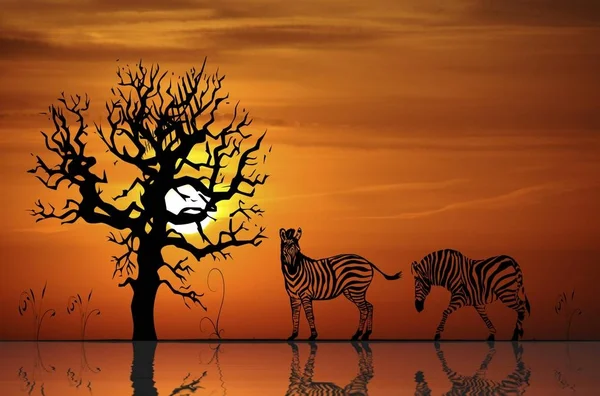 Ilustração Zebras Durante Pôr Sol — Fotografia de Stock