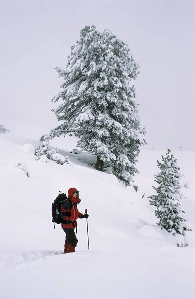 Naturskønne Udsigt Landskabet Dolomitterne Italien Europa - Stock-foto