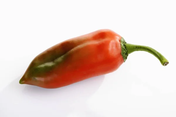 Pointed Pepper Capsicum White Background — Stock Photo, Image