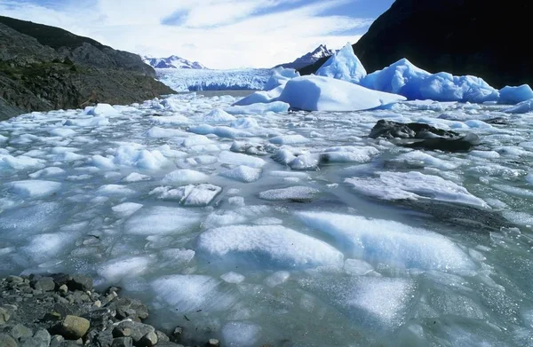 Glaciar グレー トレス パイネ国立の湖の流氷公園チリ — ストック写真