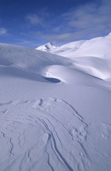 Zaspy Śniegu Przed Monte Sella Sennes Parku Przyrody Fanes Sennes — Zdjęcie stockowe