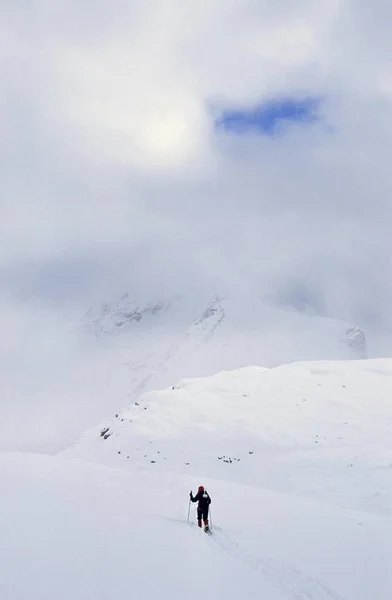 Kobieta Wędrówki Rakietach Śnieżnych Obfitych Opadów Śniegu Dolomity Włochy — Zdjęcie stockowe