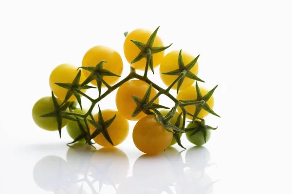 Gele Cocktail Tomaten Witte Achtergrond — Stockfoto
