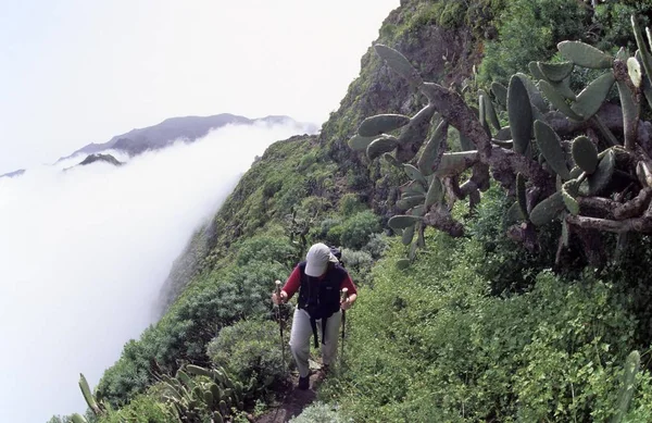 Caminhante Montanhas Acima Das Nuvens — Fotografia de Stock