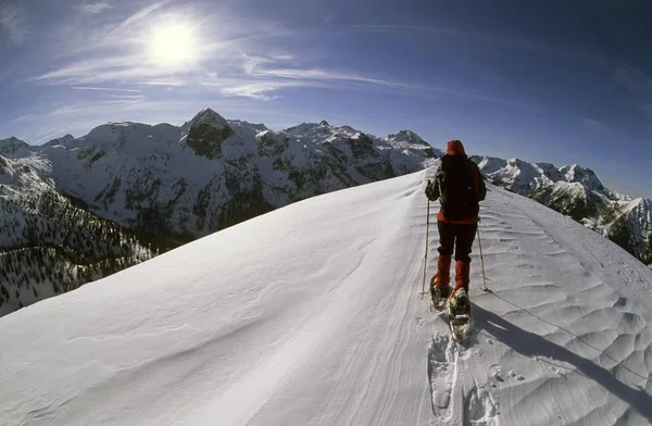 Kvinna Vandring Snowy Mountains Österrike Europa — Stockfoto