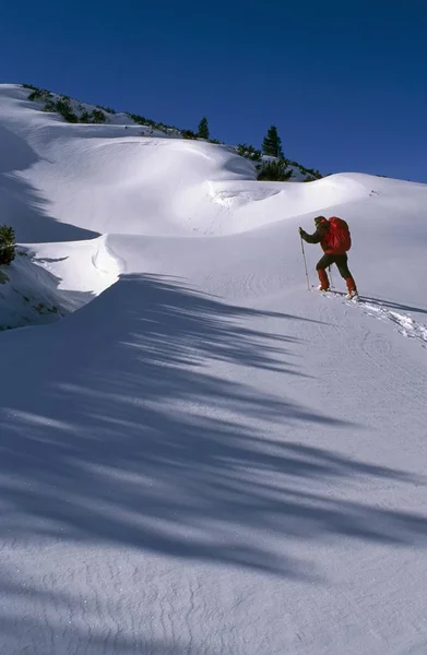 Mujer Con Raquetas Nieve Ascendiendo Por Hirzkar Zona Dachstein Estiria — Foto de Stock