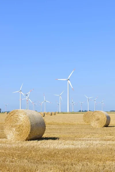 Windpark Buurt Van Wesselburen Noord Friesland Sleeswijk Holstein Noord Duitsland — Stockfoto