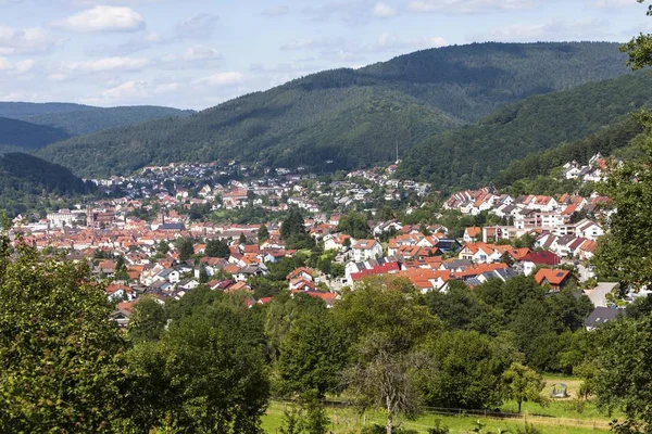 Görünümünü Eberbach Baden Württemberg Almanya Avrupa Publicground Europe — Stok fotoğraf