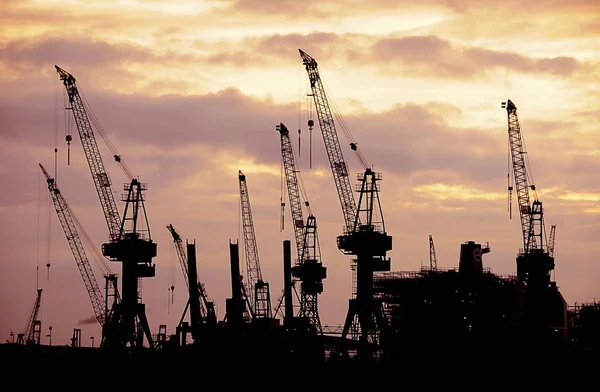 Silhouetten Van Kranen Avondlicht Scheepswerf Haven Van Hamburg Hamburg Duitsland — Stockfoto