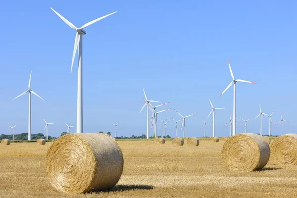Rüzgar Çiftliğinin Yakınlarında Wesselburen Kuzey Frisia Kuzeyinde Schleswig Holstein Kuzey — Stok fotoğraf