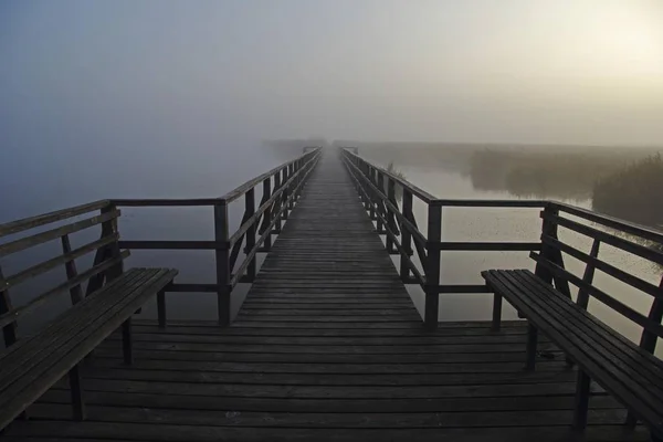 Federsee Lake Federsee Lake Pier Fog Morning Mood Upper Swabia — Stock Photo, Image