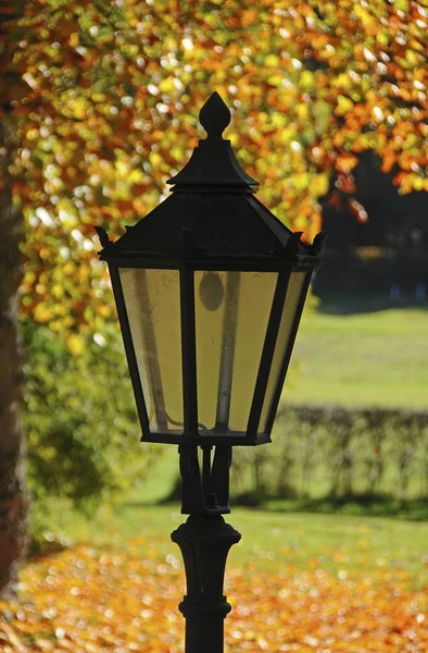 秋彩落叶树前的灯笼 — 图库照片