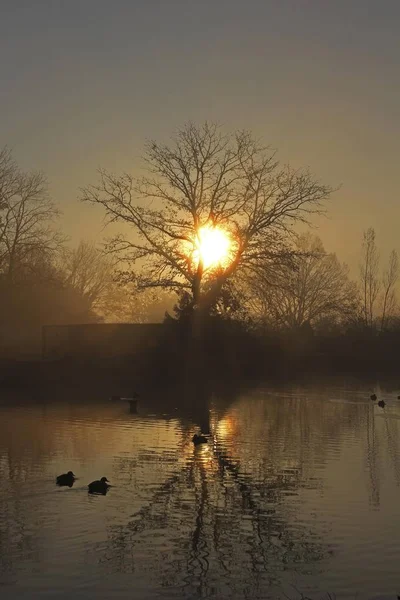 Nascer Sol Uma Lagoa Com Árvores Reflexão Início Manhã Mittelberg — Fotografia de Stock