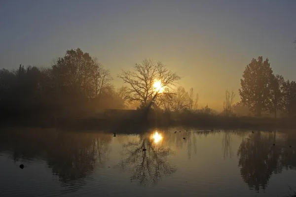 Manhã Cedo Com Nascer Sol Uma Área Lagoa Distrito Mittelberg — Fotografia de Stock