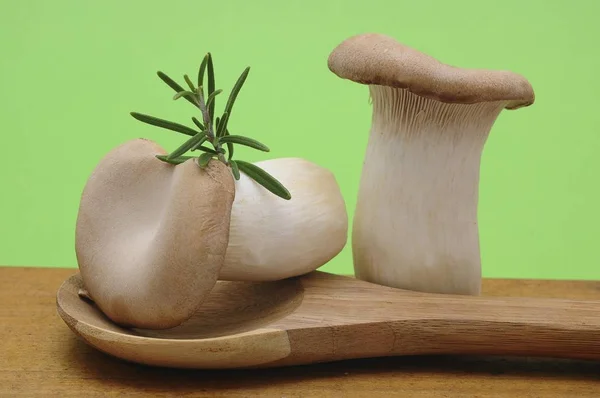 Two French Horn Mushrooms Pleurotus Eryngii Wooden Spoon — Stock Photo, Image