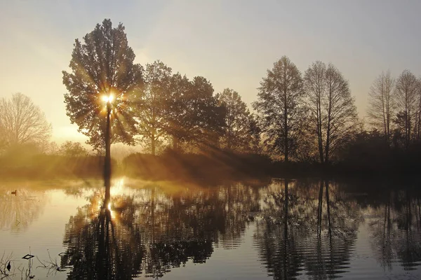 Nascer Sol Início Manhã Com Árvores Área Lagoa Novembro Distrito — Fotografia de Stock