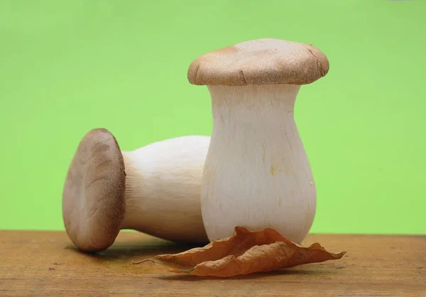Two French Horn Mushrooms Pleurotus Eryngii — Stock Photo, Image