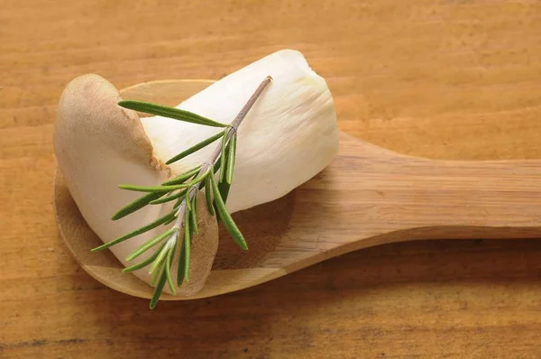 A French horn mushroom (Pleurotus eryngii) on a wooden spoon