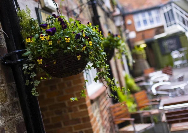 Blumen Schmücken Die Außenseite Eines Cafés Der Grafschaft Wiltshire England — Stockfoto