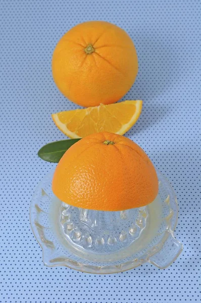 Orange Juicer Made Glass Oranges — Stock Photo, Image