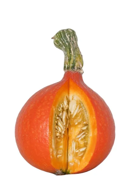 Cucurbita Pepo Tykve Cucurbita — Stock fotografie