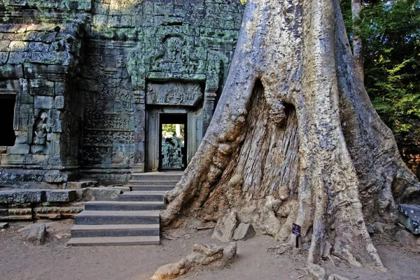 Malowniczy Widok Świątyni Khmerów Dżungli Angkor Wat Siem Reap Kambodża — Zdjęcie stockowe