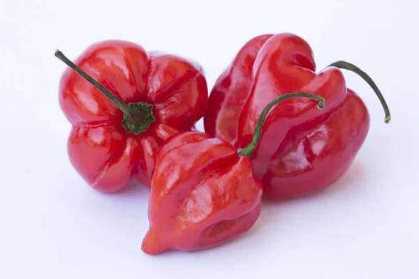 Vista Sobre Close Habaneros Capsicum Chinense — Fotografia de Stock