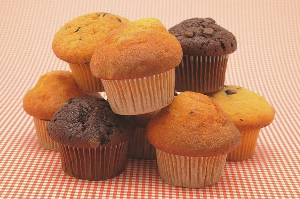 Visa Närbild Muffins Tyskland Europa — Stockfoto