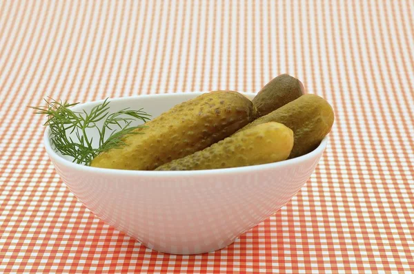 Gherkins White Porcelain Bowl — Stock Photo, Image