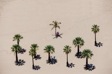 sandy beach with palms of Playa de las Teresitas clipart