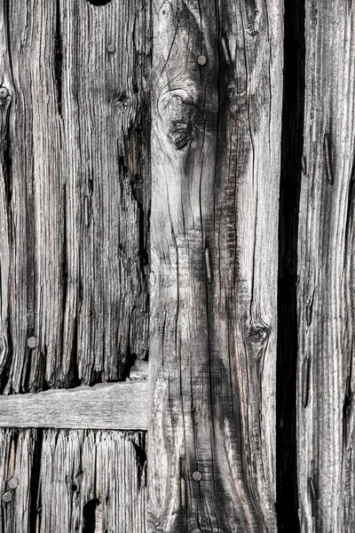 Wood Grain Detail Wood Structure Black White — Stock Photo, Image