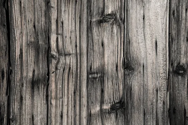 Wood Grain Detail Wood Structure Bark — Stock Photo, Image