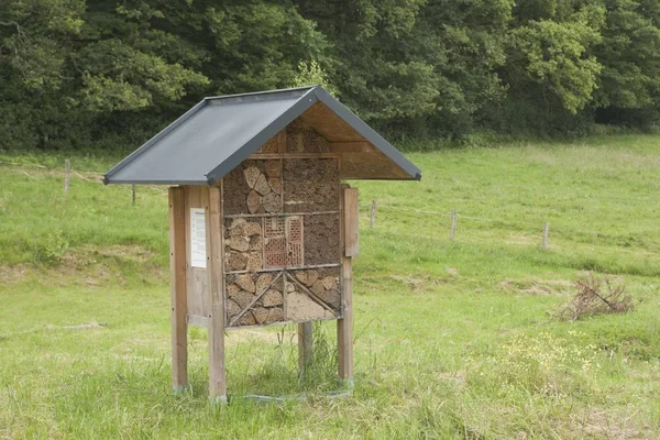 Insect Hotel Box Een Weide — Stockfoto