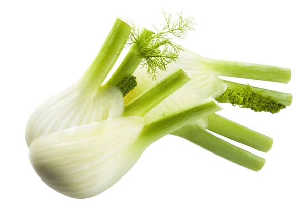 Fenchel Aus Nächster Nähe — Stockfoto