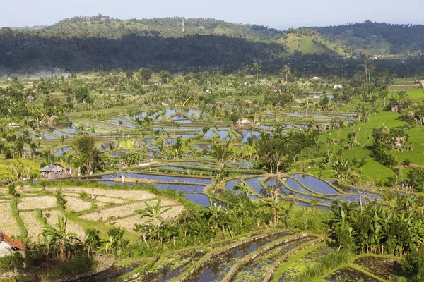 Campos Arroz Tirtagangga Bei Abang Bali Indonesia Asia —  Fotos de Stock