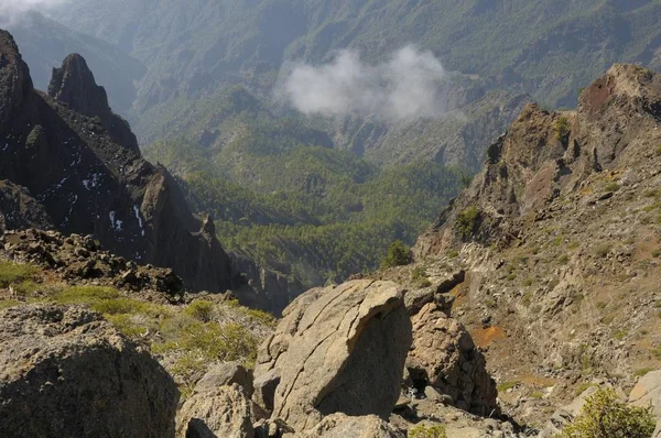 Rocky Dağları Orman Caldera Taburiente Milli Parkı — Stok fotoğraf