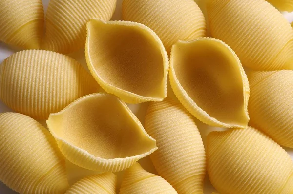 Shell Noodles Cooking Ingredient — Stock Photo, Image