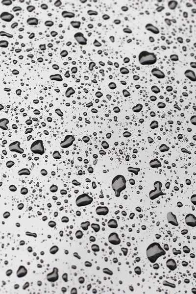 雨粒表面パターン — ストック写真