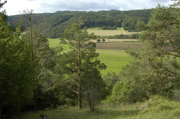 Landskap Med Fält Och Träd Bayern Tyskland — Stockfoto