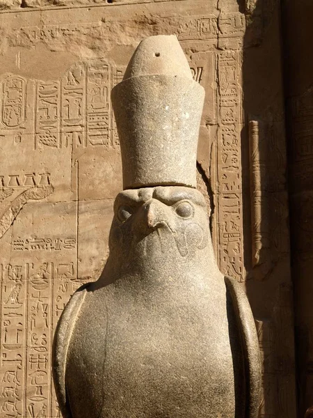 Standbeeld Van Tempel Van Horus Egypte Van Falcon — Stockfoto