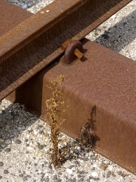 Old Rails Rust — Stock Photo, Image