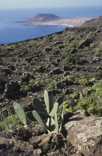 Mirador Del Rio Kanarieöarna Viewpoint Nordöstra Kusten — Stockfoto