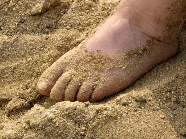 脚踏在沙滩上近视 — 图库照片