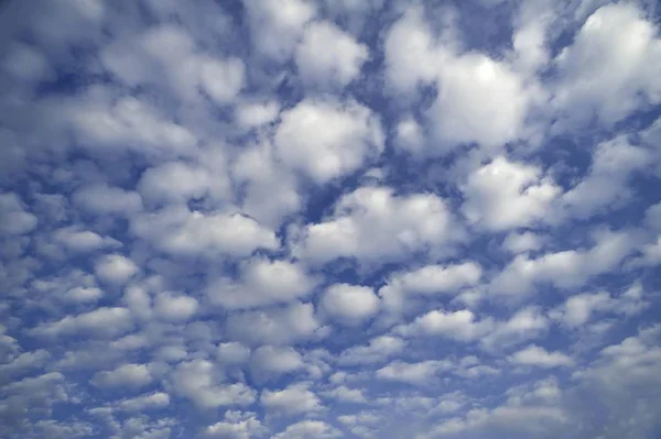 Kleine Flauschige Wolken Zirkumulus — Stockfoto