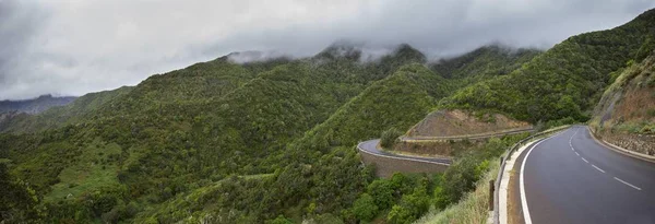 Road Winding Forest Valley Vallehermoso Gomera Canary Islands Spain Europe — Stock Photo, Image