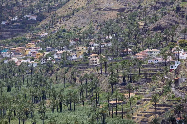 Palm Plantations Village Guro Gomera Canary Islands Spain Europe — 스톡 사진